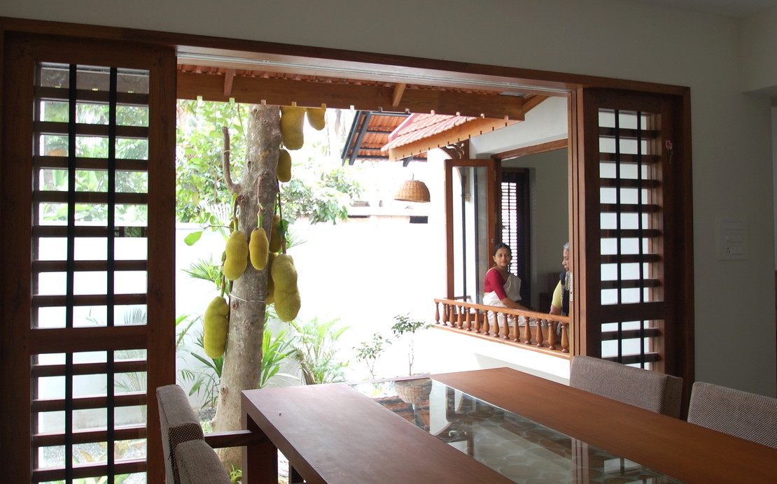 Jackfruit Tree seen from the dining space