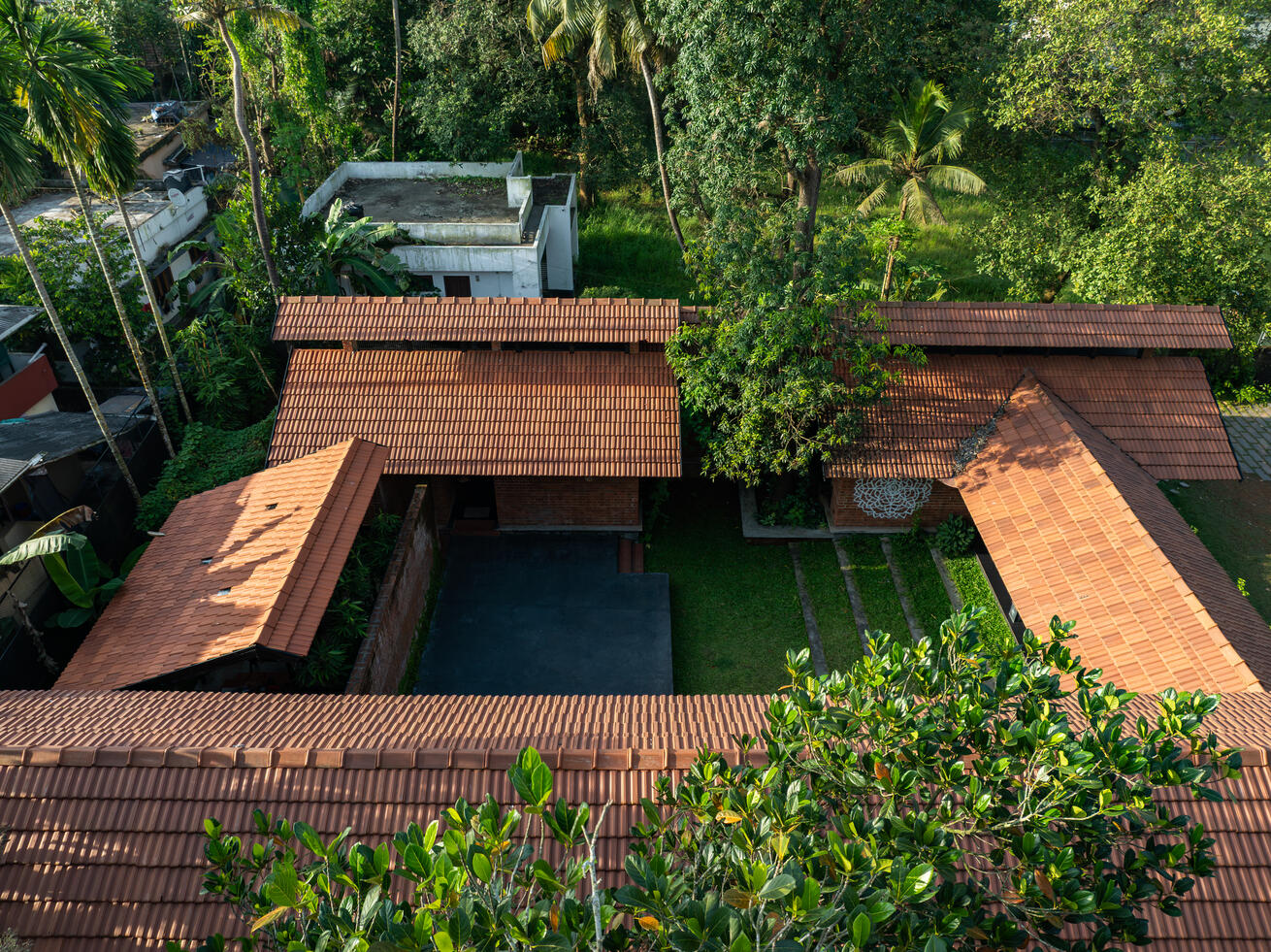 Aerial View of Mango Tree & Stage